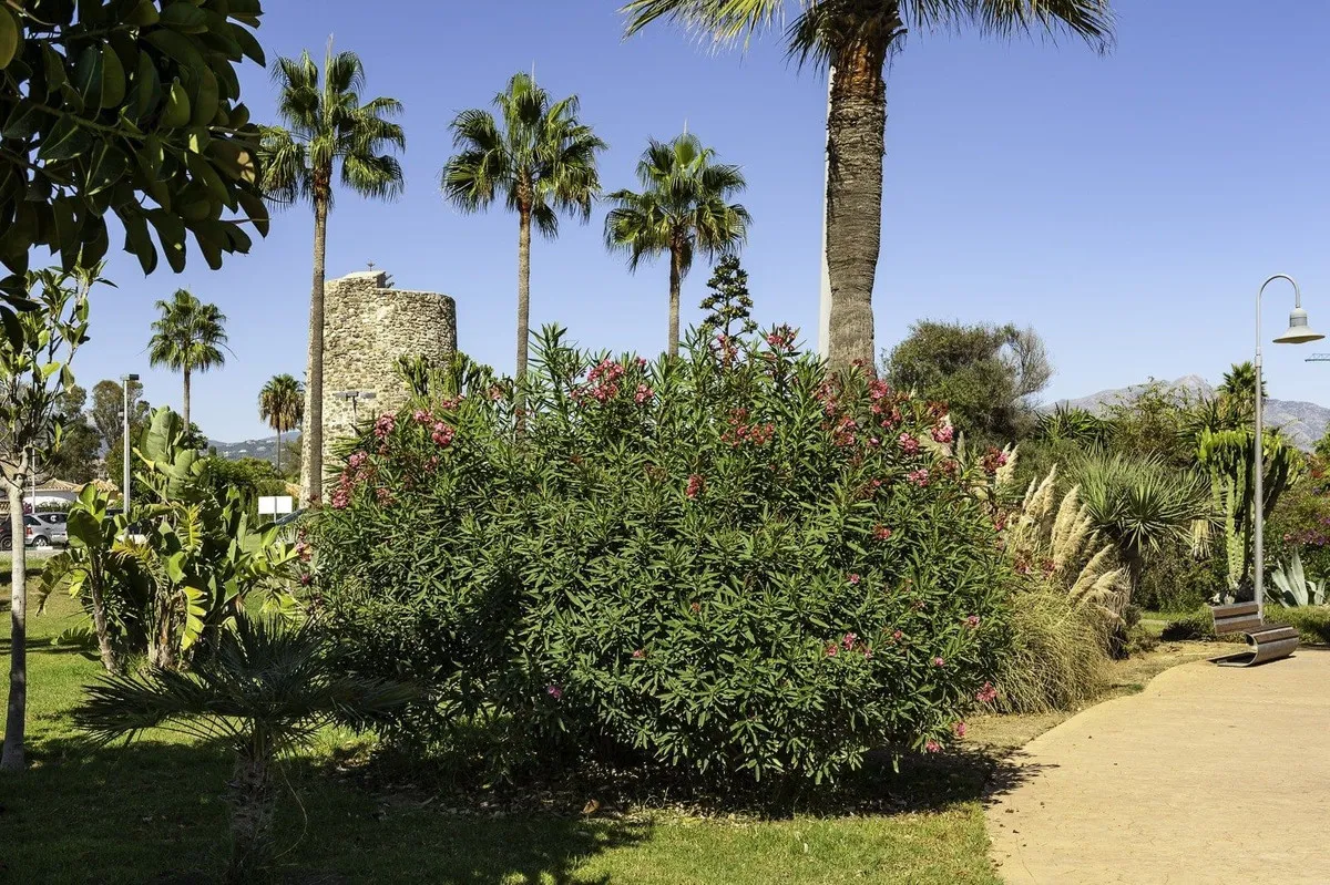 544de2e2-ec8b-40af-83dd-409a29024588