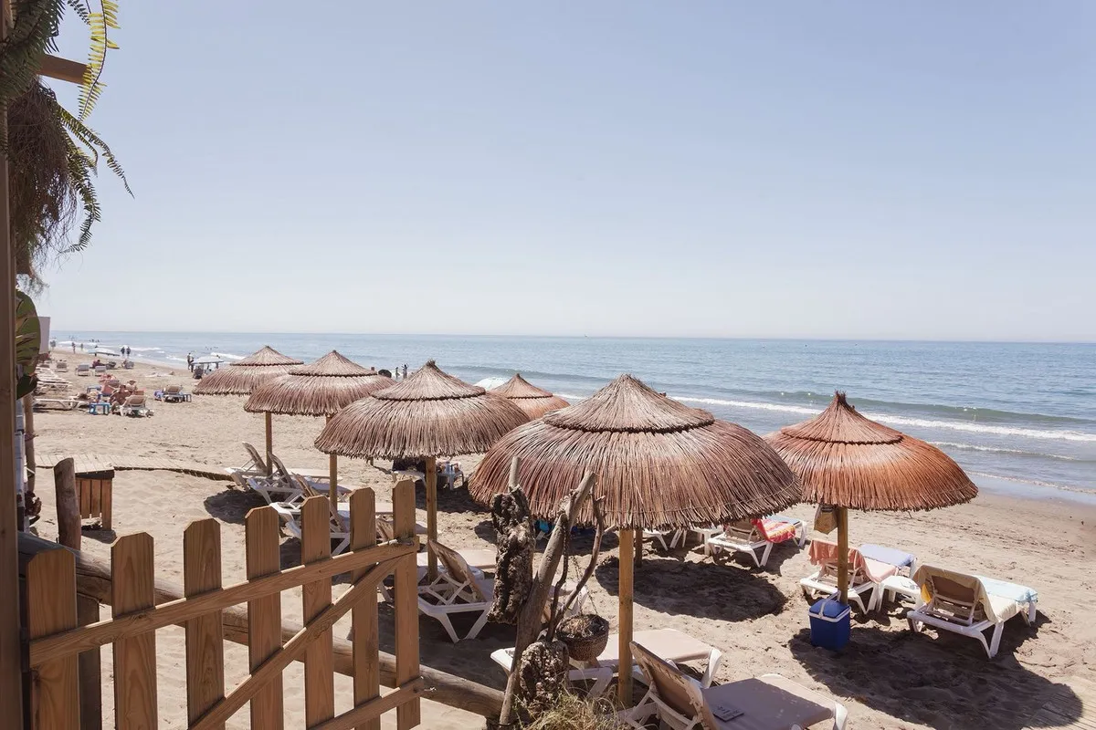 01fddb95-a95d-402a-862c-dddfc0c218d5