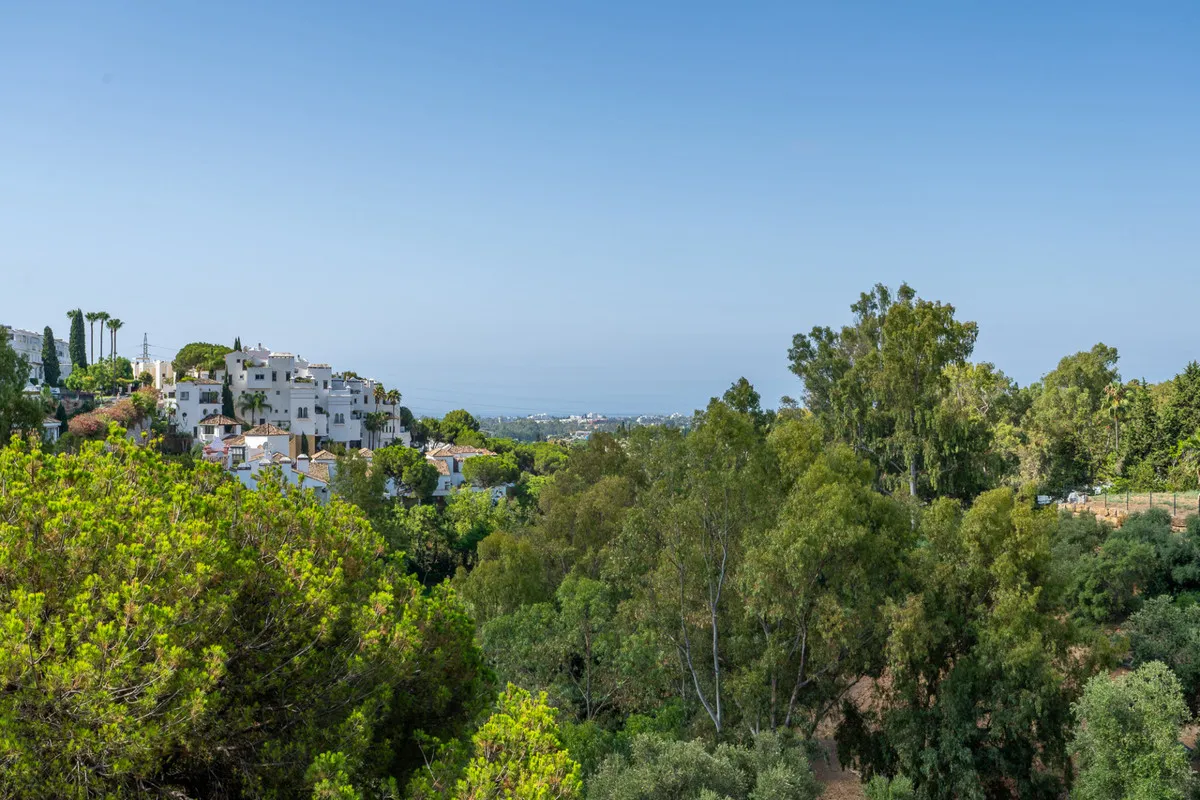 bc2f2498-8ca5-4154-a678-172ddc24555b