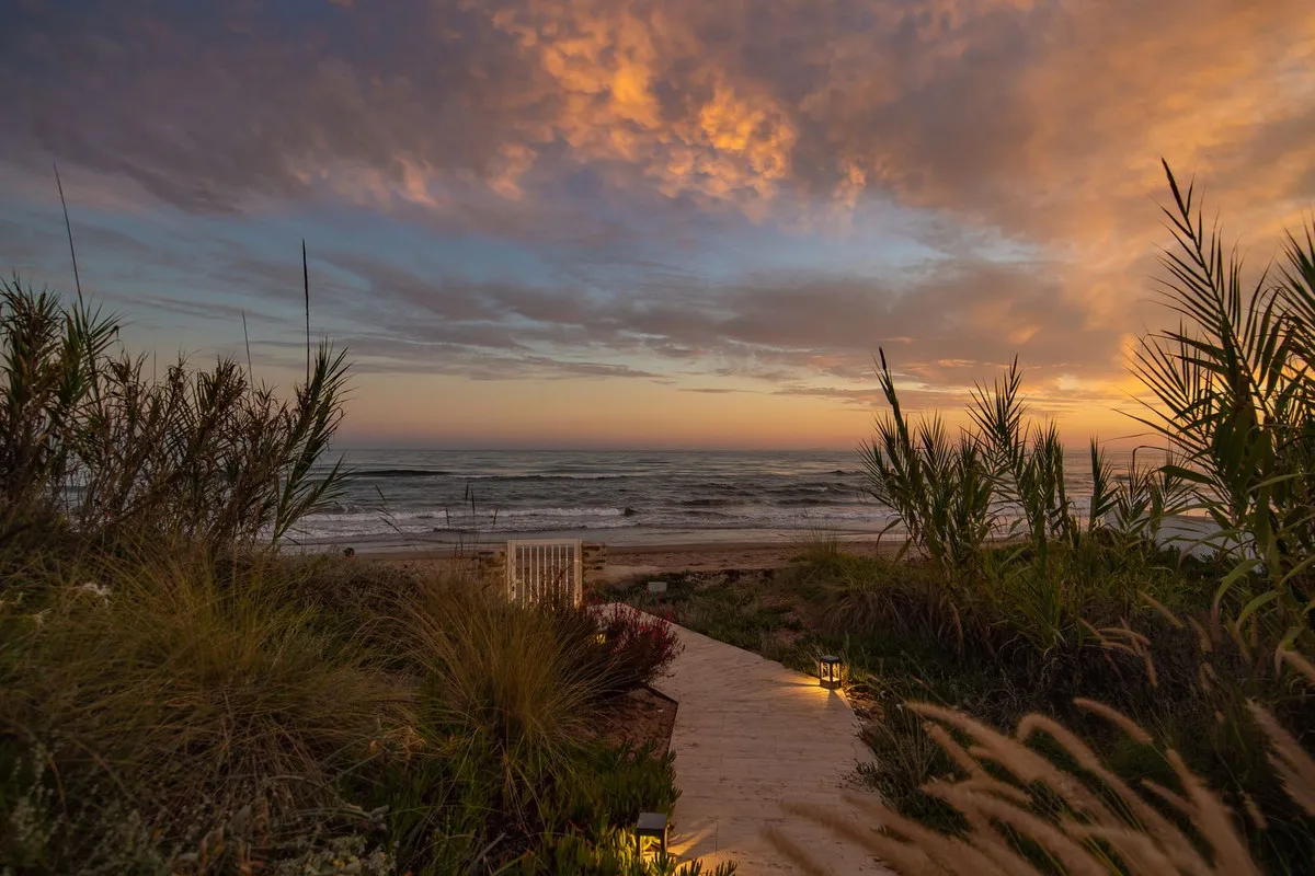 1f5f14ef-a6b5-4a64-b4f7-56eef3d5c2f6