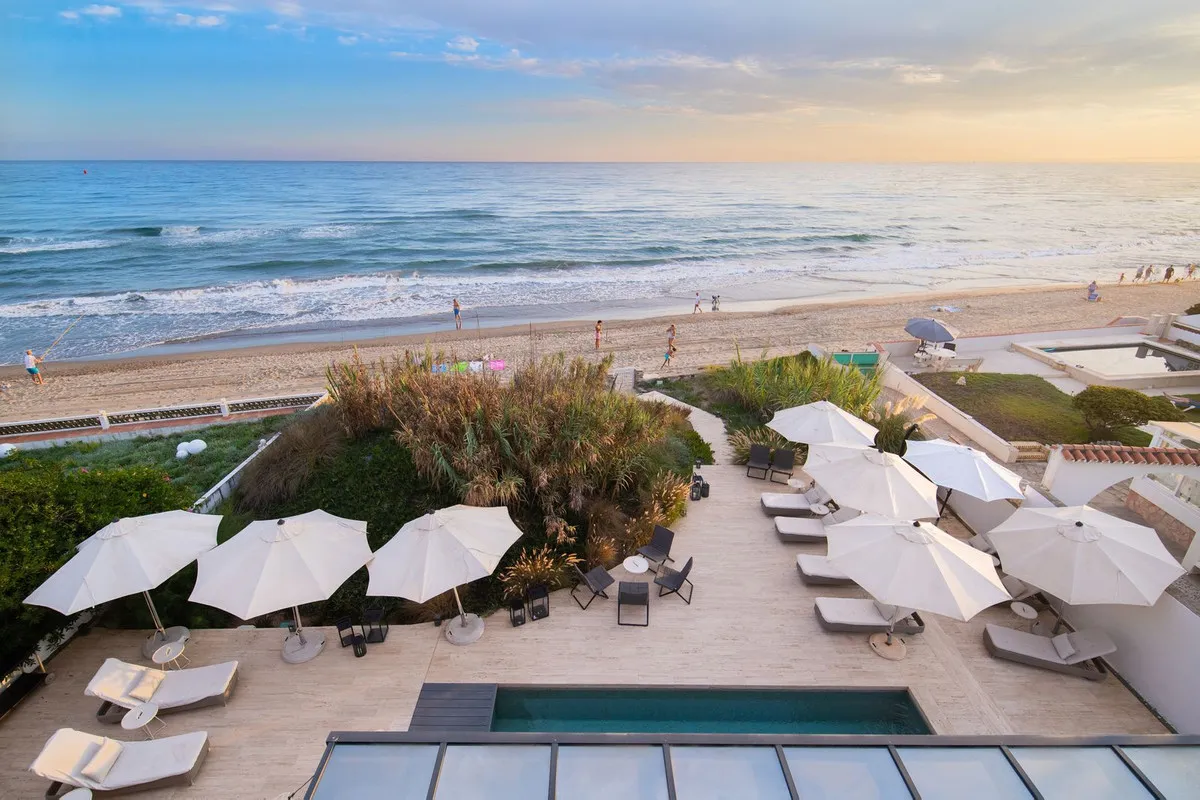 8086568d-630f-45b2-a688-a242cb7a67cf