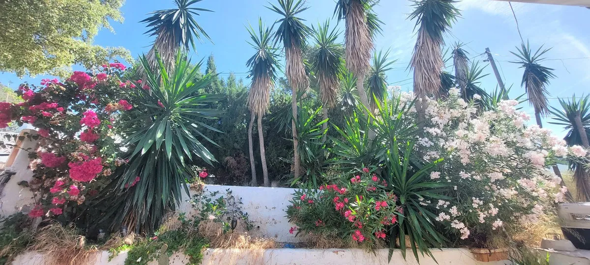 93f752e4-d5a9-40cc-a9c7-a3e56987868b