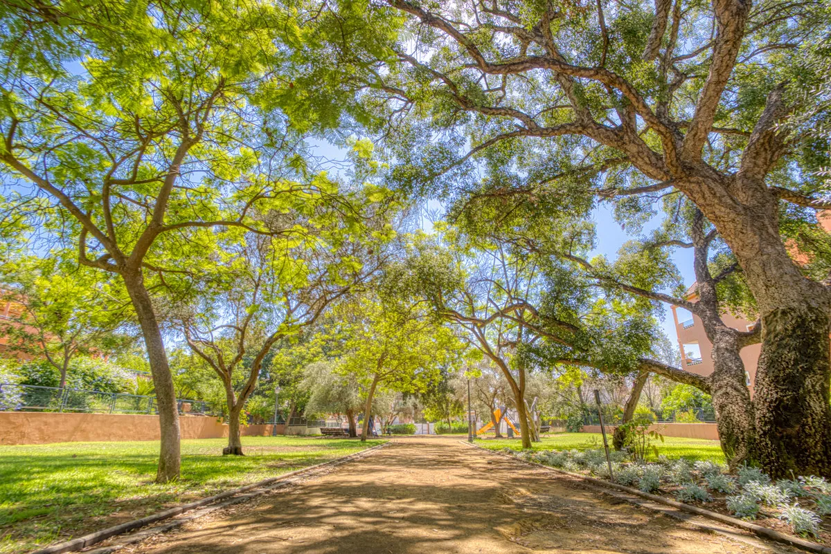 17acb781-1961-43d7-b9c2-803bdeed3e3a