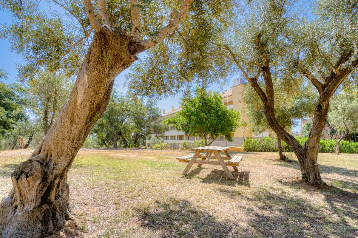 3286c7d6-b92a-494e-b505-c2e5cca8f378