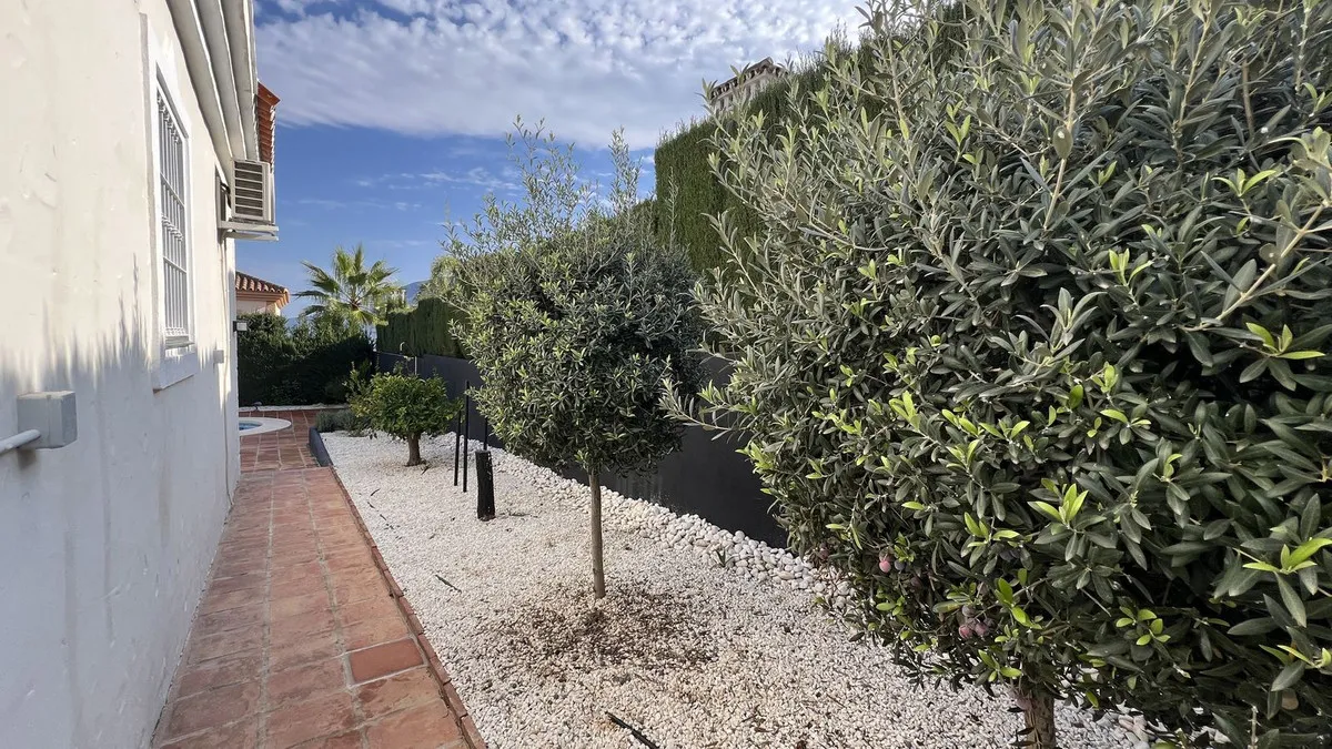 a96e3f38-fcfb-408d-9b34-53fa25f3e076