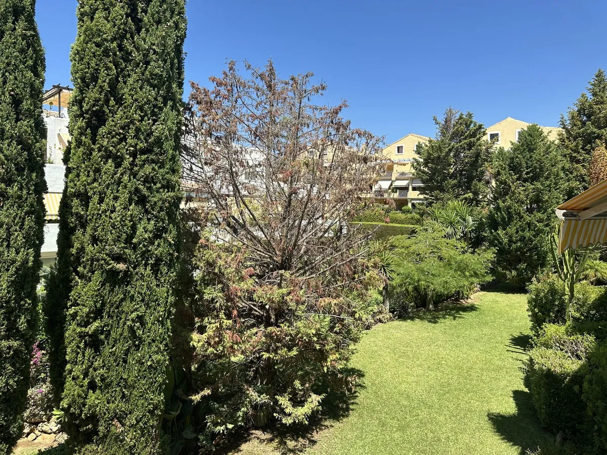 1c99cadc-5a48-4a21-aaea-8622ba219da0