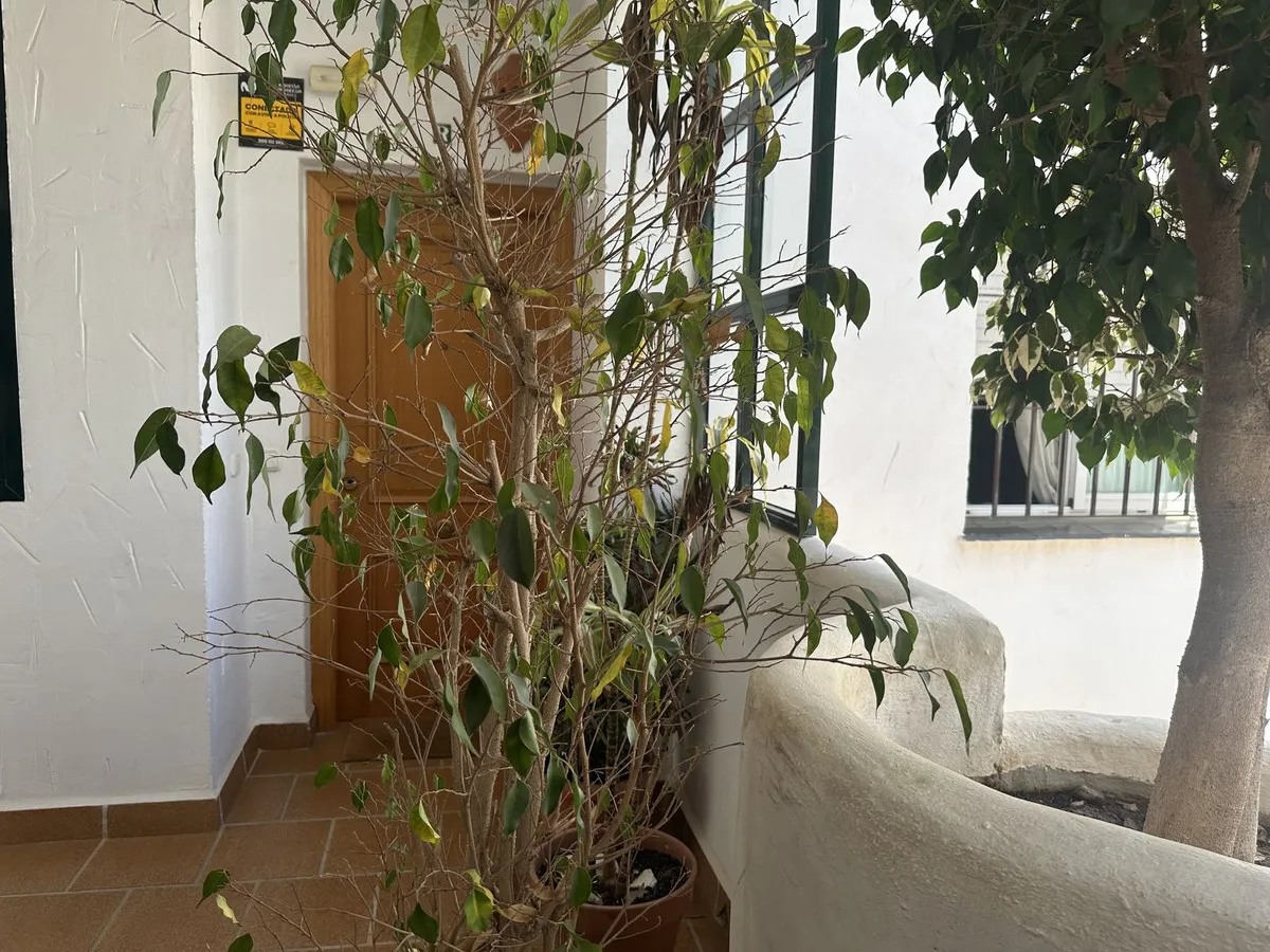 eec801ee-47fb-499a-a248-fe3021328b22