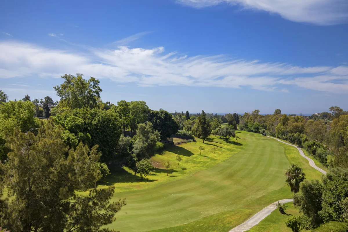 236d216e-d08e-46b2-887b-f50cd628ae6d