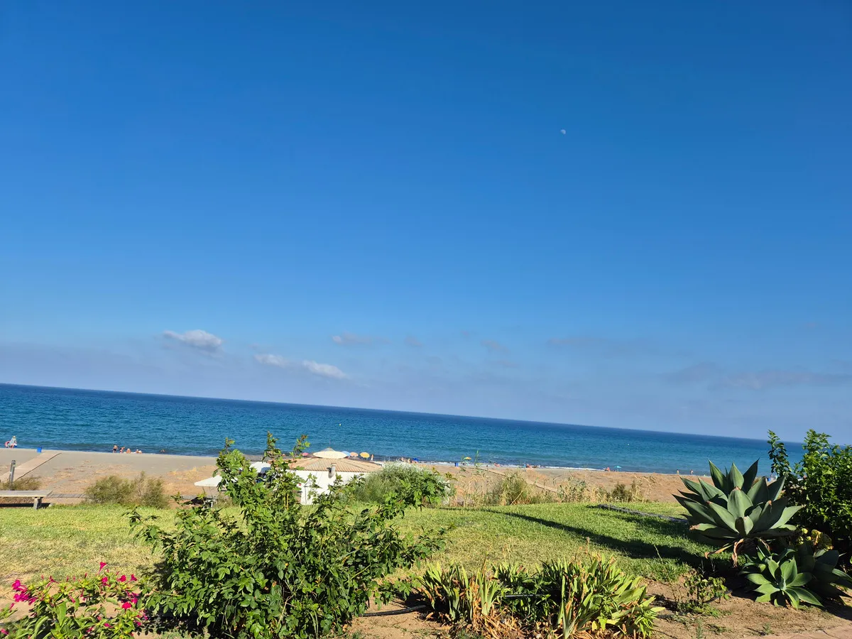 858e1768-8b82-40dd-9975-d4bb398f869b