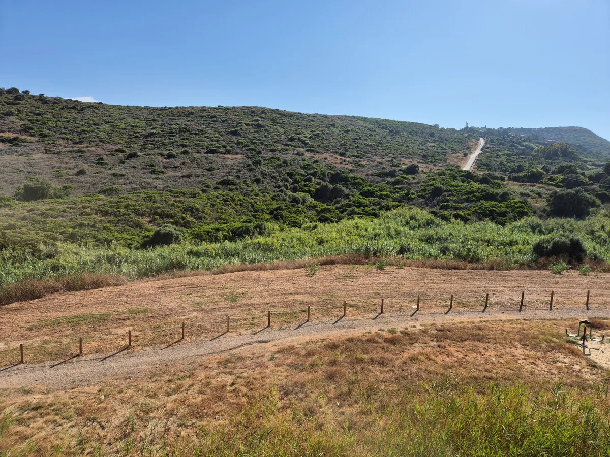 995820f3-e3f7-405c-8524-74875848fb61