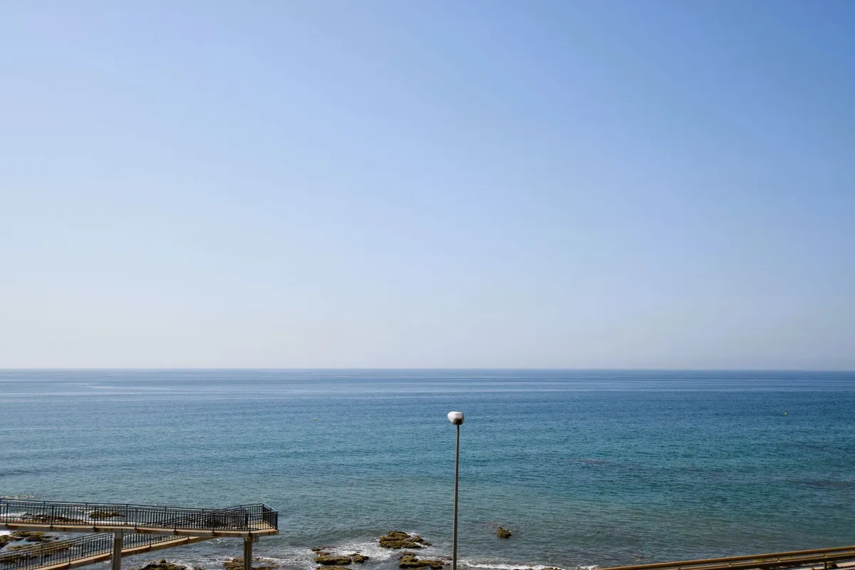 fcf44978-3910-437d-bb11-0265fd78bb68