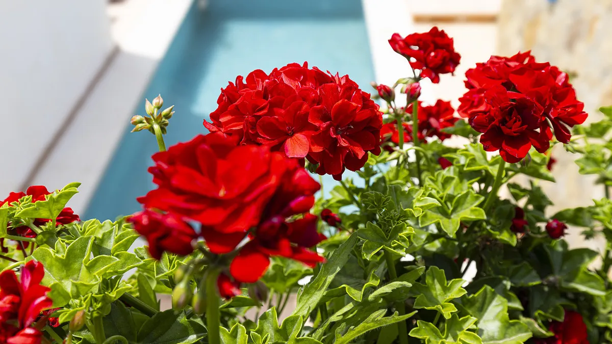 f678a3a6-60c4-41f8-9bef-e77d5b509a81