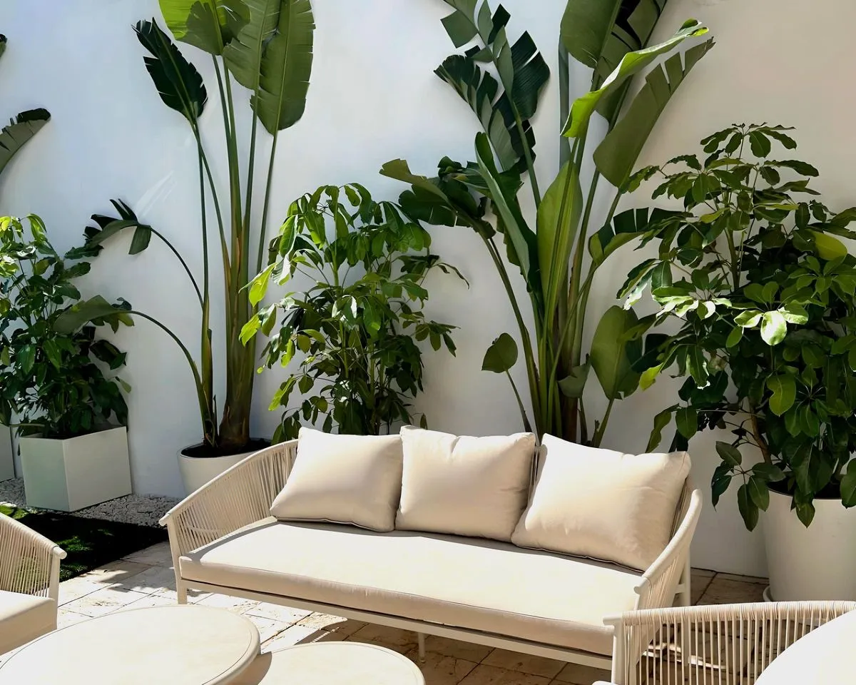 e2d2d615-4337-47da-ae7b-ea60ab0d5e98