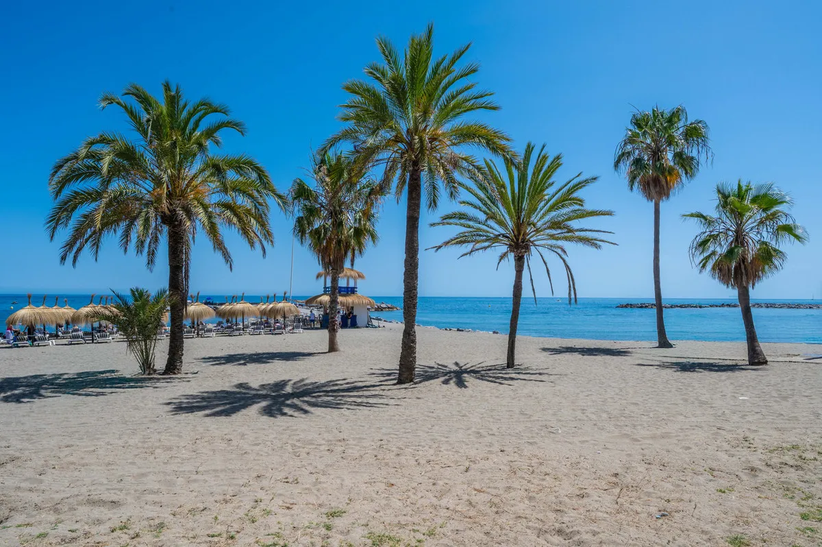 20808dbe-d07c-46b6-b6c3-7e5c911a0e4a