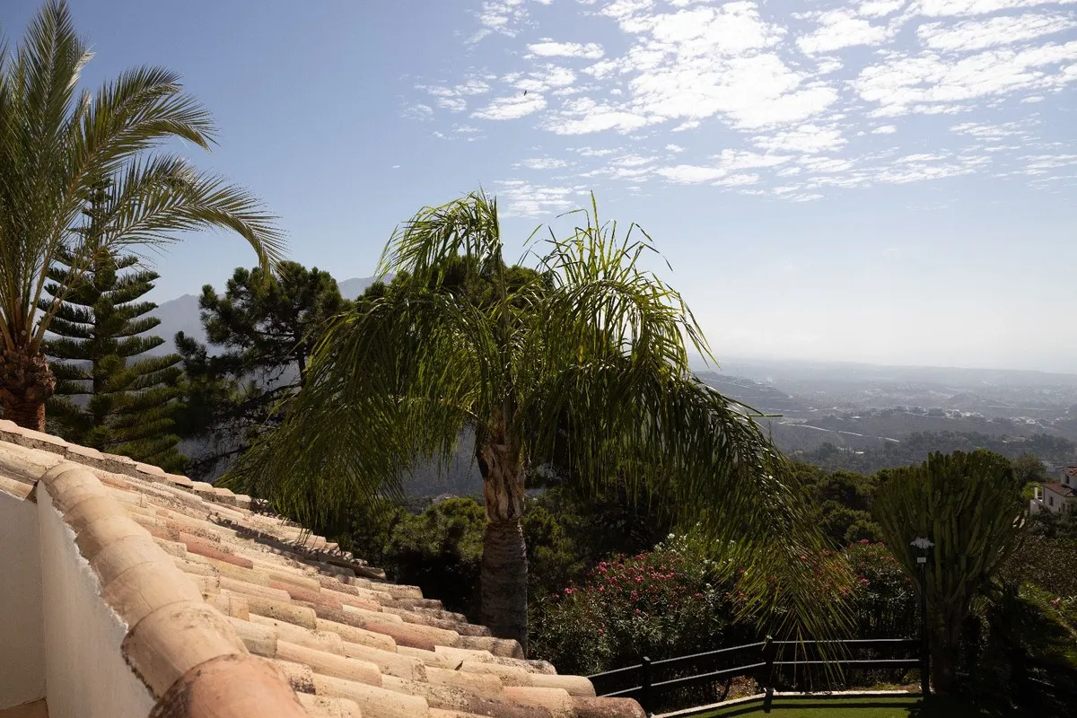 83958ae9-a941-4ce1-9614-2f6ff0e259fe