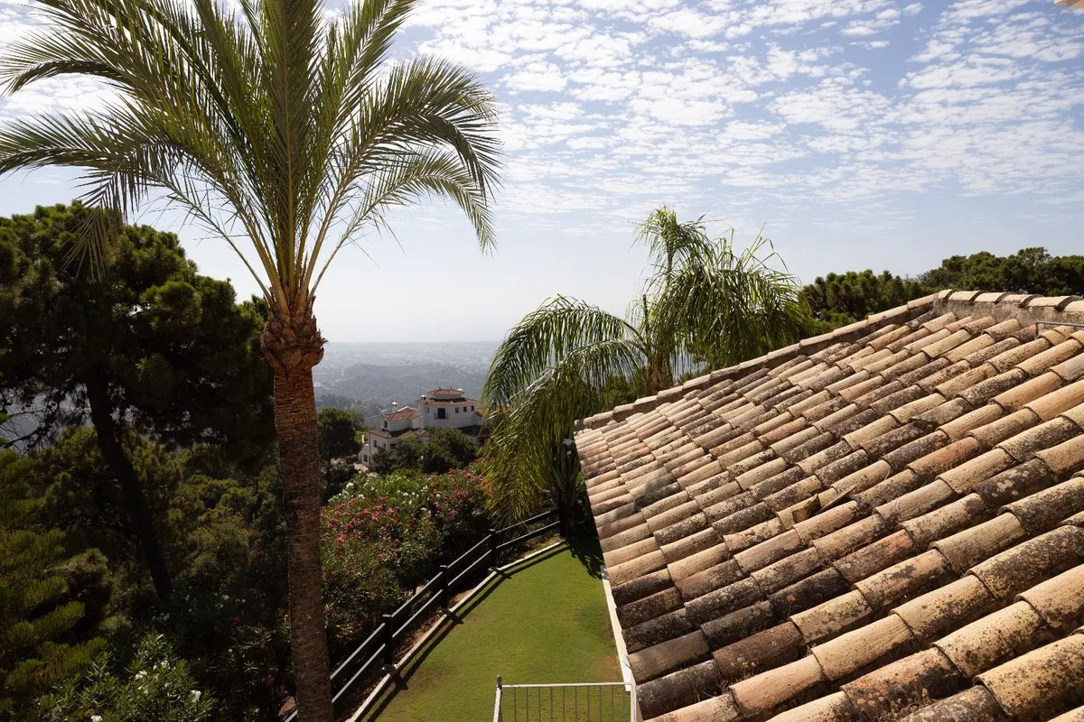 cd923f6e-f4b4-4979-85f1-5bc3d13bb265