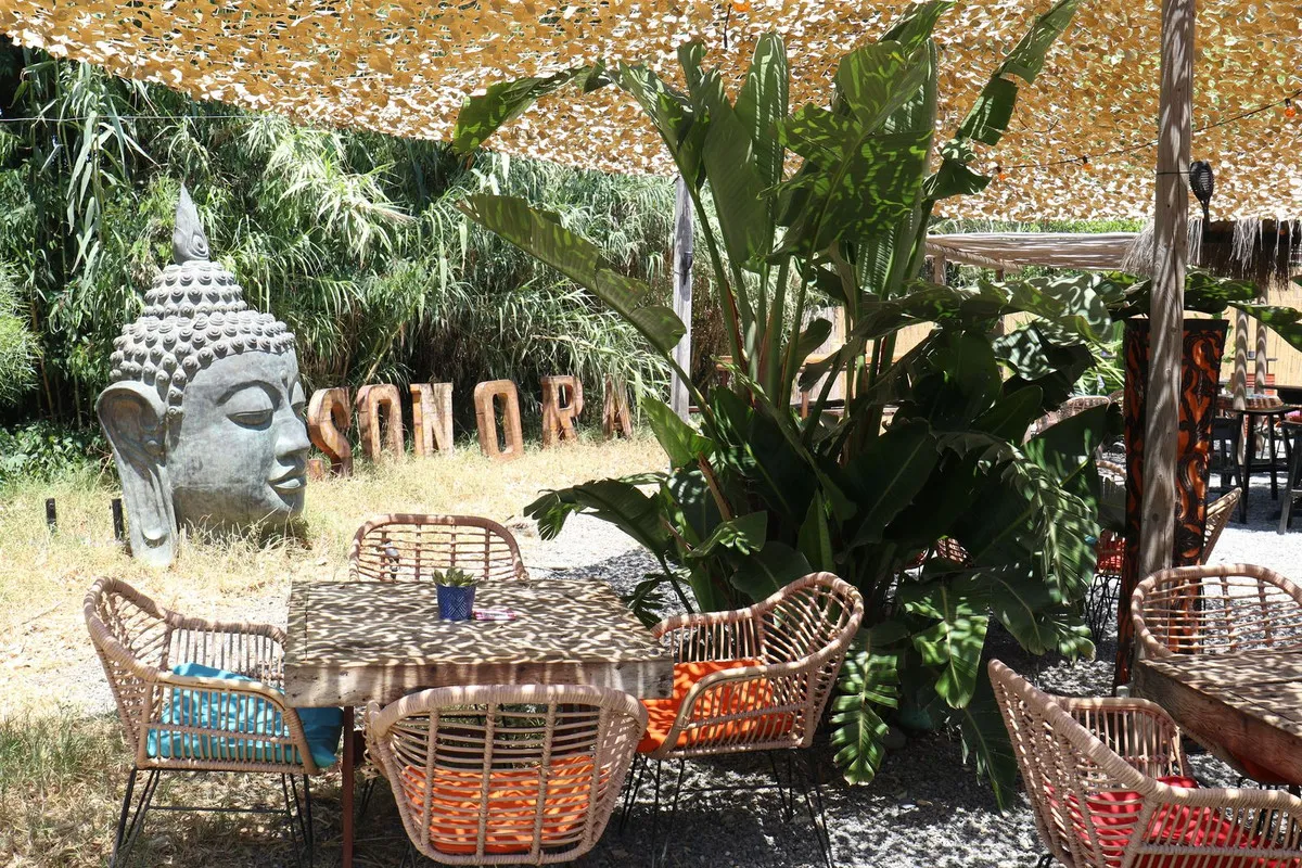 b79ba781-65dc-446c-8631-01658498b0a6