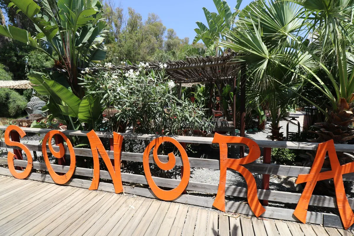 d4399114-ad68-4eb5-be56-ac072d9eec19