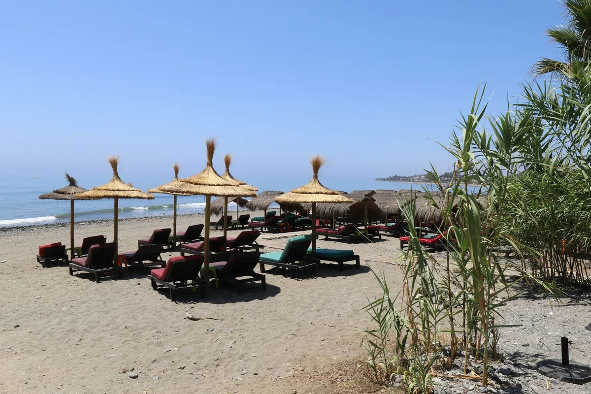 d5325d28-ac6a-4a3c-880b-635ae461960e