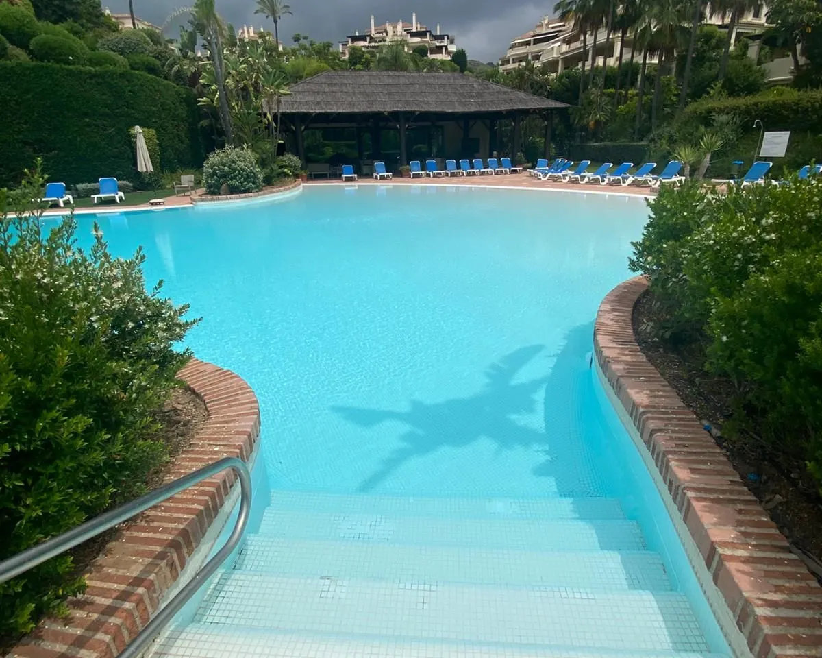 d16fa82a-c5e7-4cff-a9cd-045afcb81633