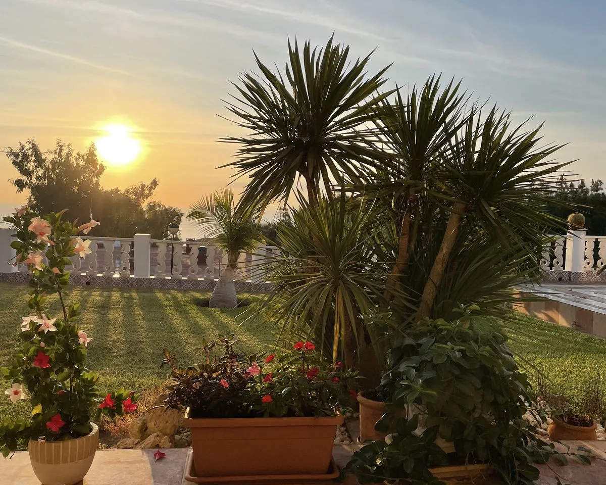 f815d3a0-0202-4359-9f8c-3239dcf872f4