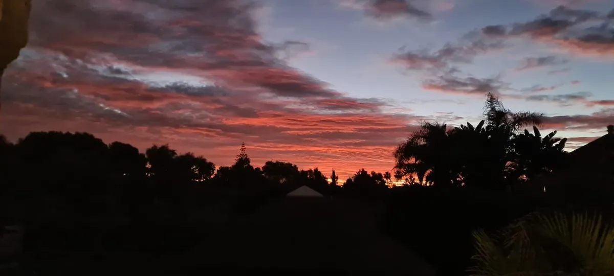 5ce1d54f-44c1-49d0-b37d-37e3decefc06