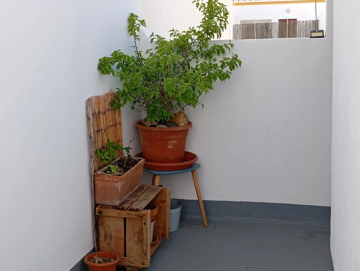 e2cf2500-13dc-4fbe-bc08-65f844808a1a