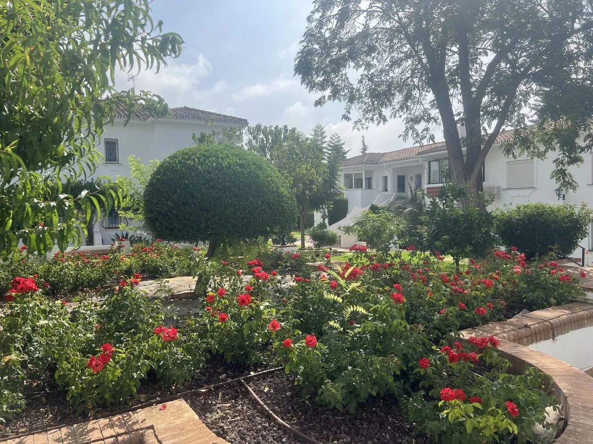 5c2bcb8b-3e0b-440b-95f5-4a91403ed440