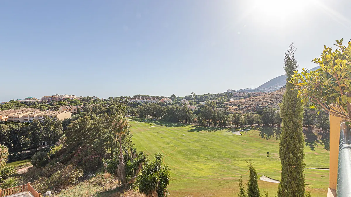 ee98469c-d952-4a35-a500-ed2fbea9b10f