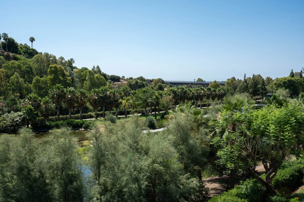 80905a38-8240-493a-b9b7-73c582a0c581