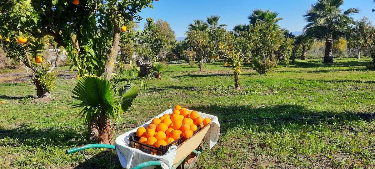 5630776d-9476-4eb0-ac40-7baf42e4bc7c