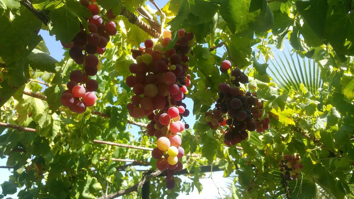 97f07281-8e55-4a66-8aed-ab25724db98d