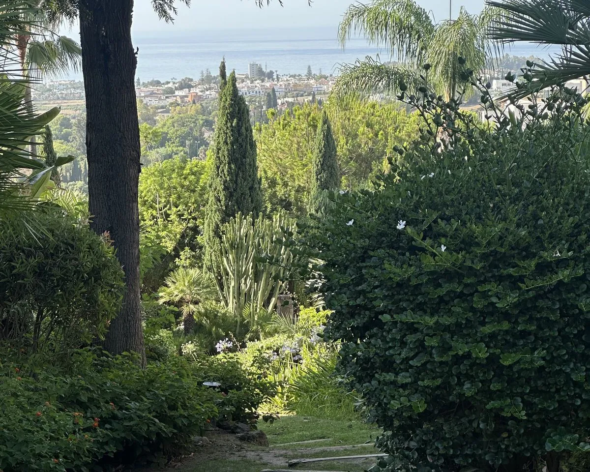 3b442e0a-e195-4942-a086-4ab10296ed9f