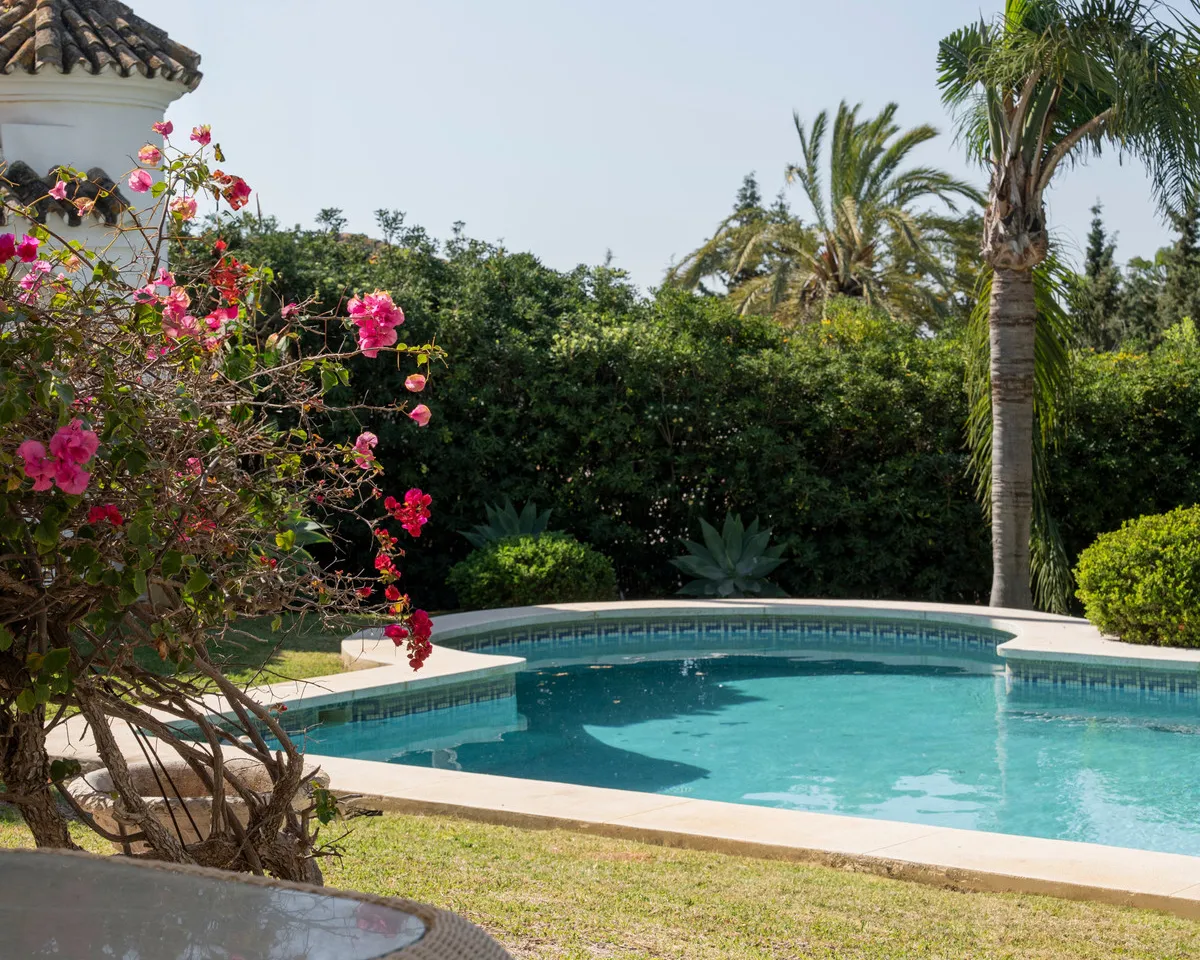 c2d1331c-2149-4d1e-89d2-972f67757025