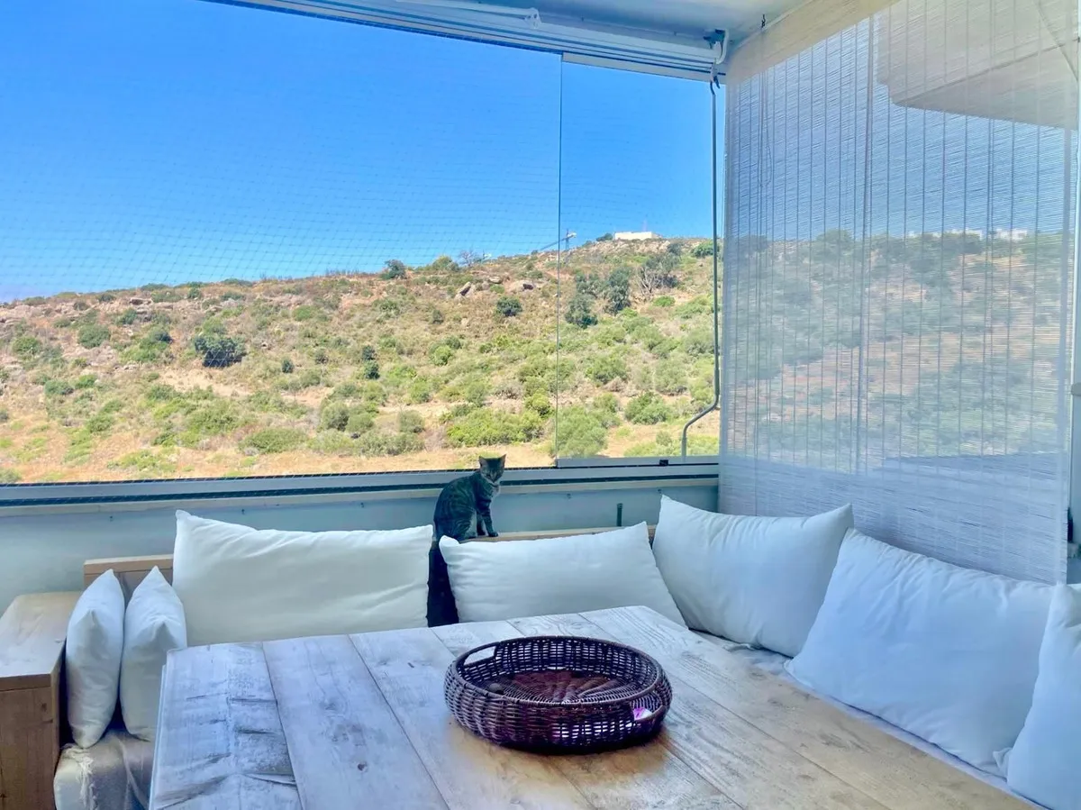 2779d034-fe74-4252-8554-a85ef9439440