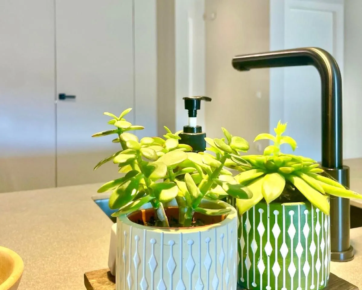 beb9519d-4481-4650-932c-09e81cf6e433