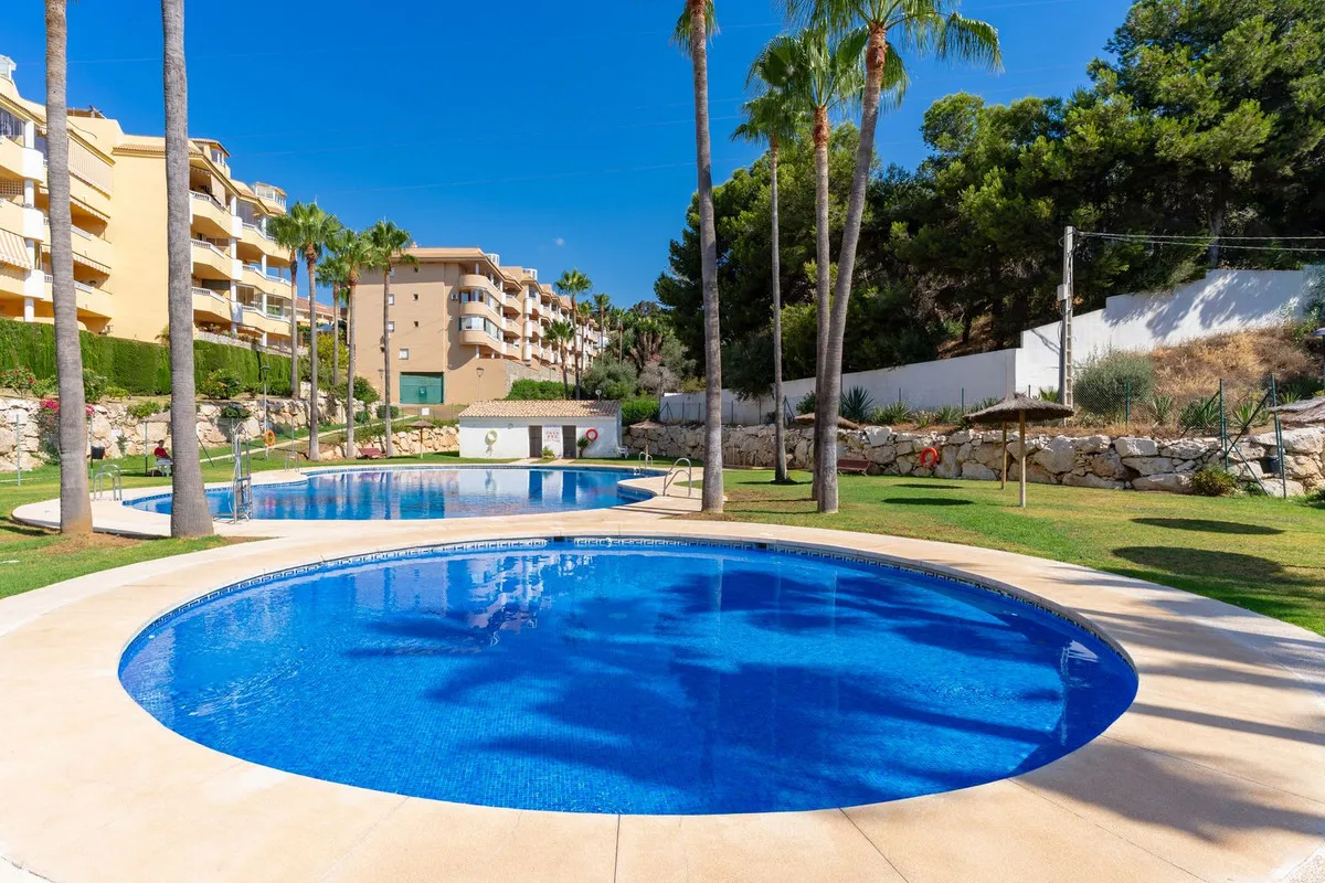 85097dcc-d5b1-41f2-89f1-79ab0e3610da