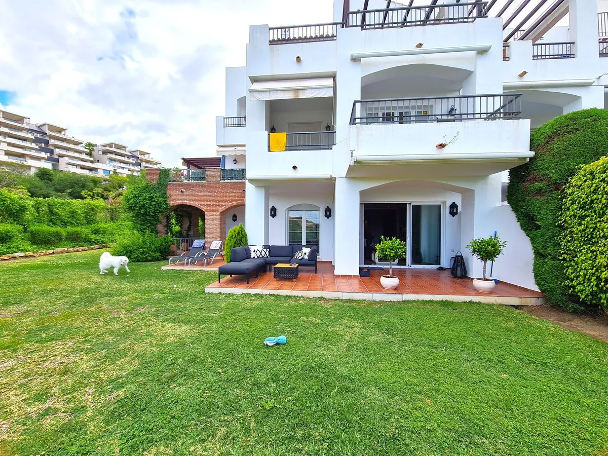 b86ae952-5265-45e6-9c2e-d30f13696036