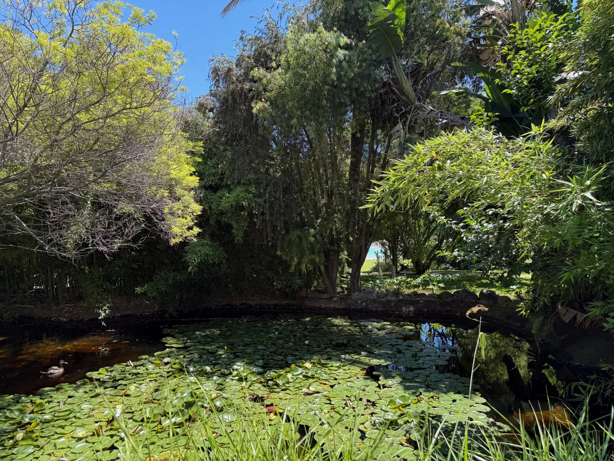 0dcd6f66-e1d5-40d7-9820-c5da24620e37