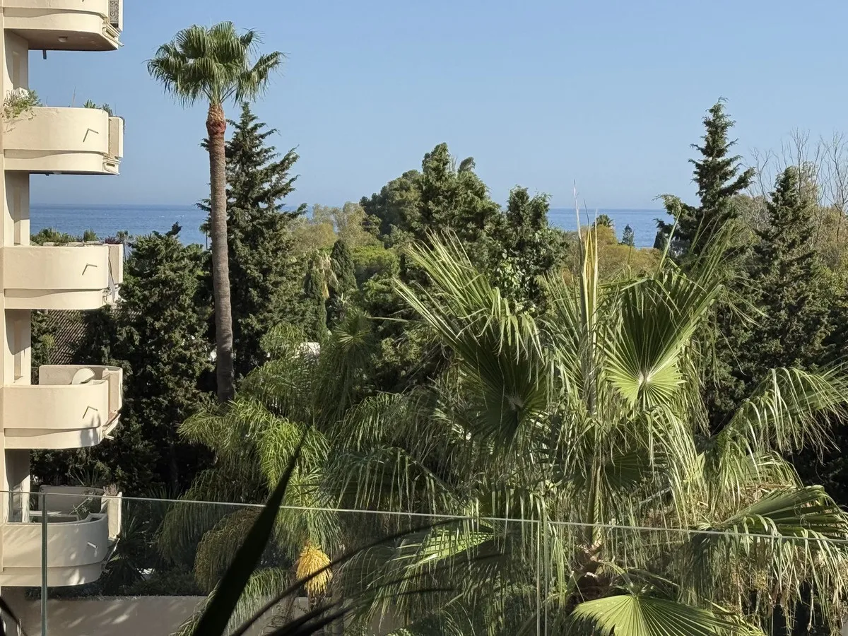 e4637884-9182-4e92-ad80-a113e607a487