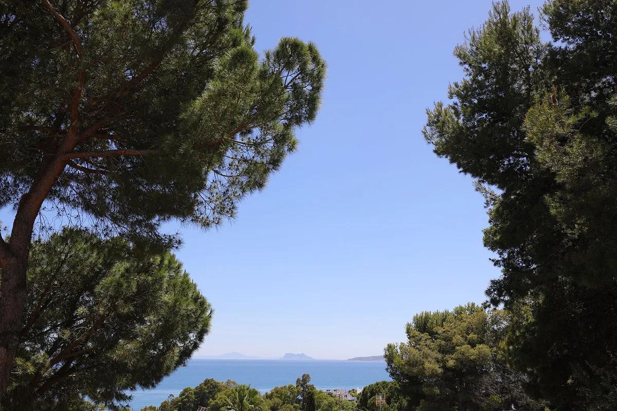 a60e1354-6069-4af7-9f03-cd8054209b1c