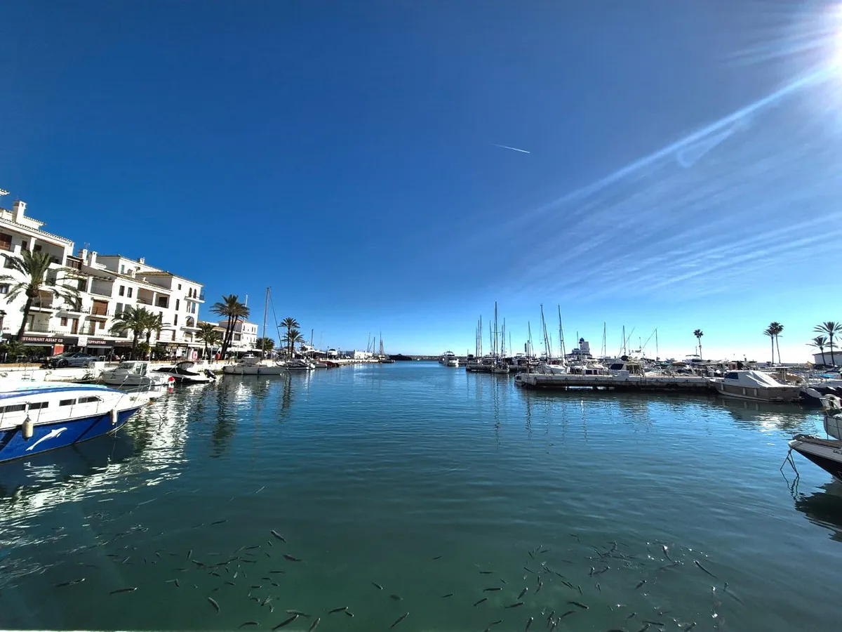 fd853c1c-72ed-4a86-9775-c139476383de