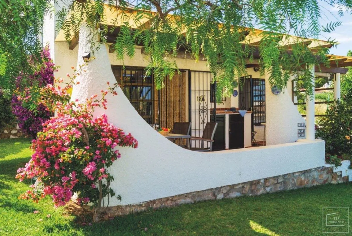 c3492339-02a5-4c85-816c-cd128cdaeaf4