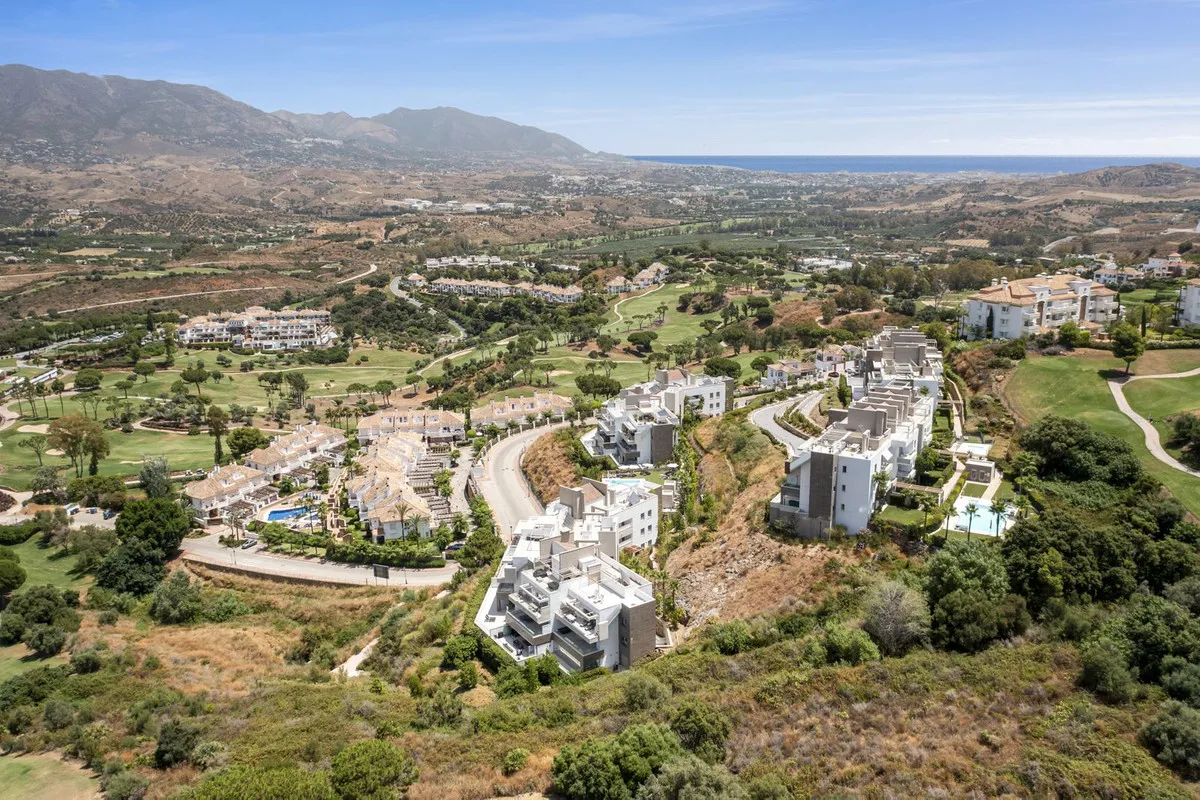 042c7425-dc00-4d0d-8959-bfa9c68d12a4