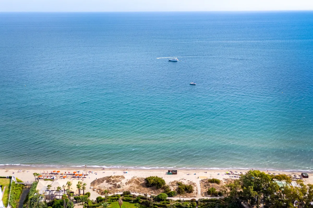 5e81482f-9009-4bc2-a085-62569b473c99