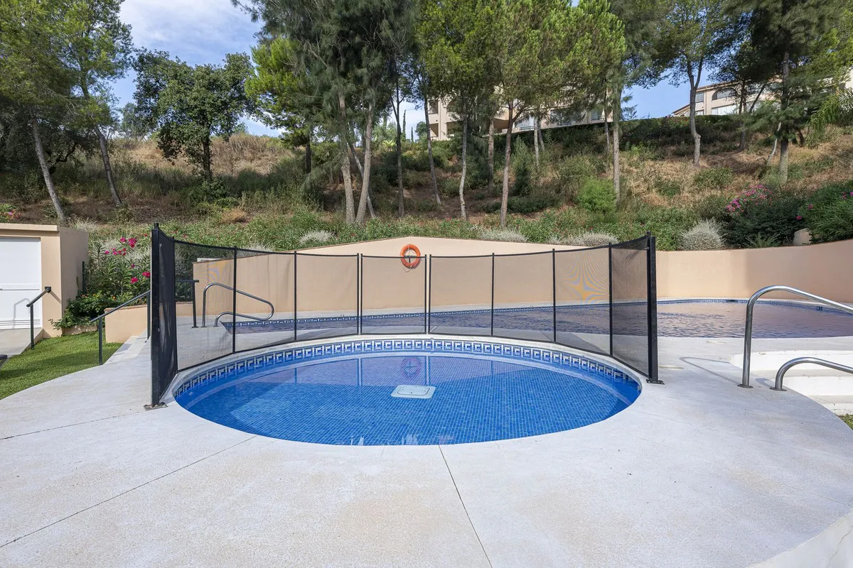 af6f9e1c-ff8b-42bf-b0f2-dcc9fbf147a6