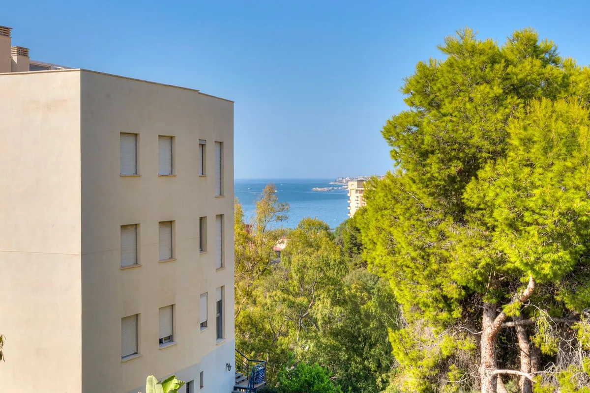 50cc8677-0170-4564-a1f9-713e552b7233