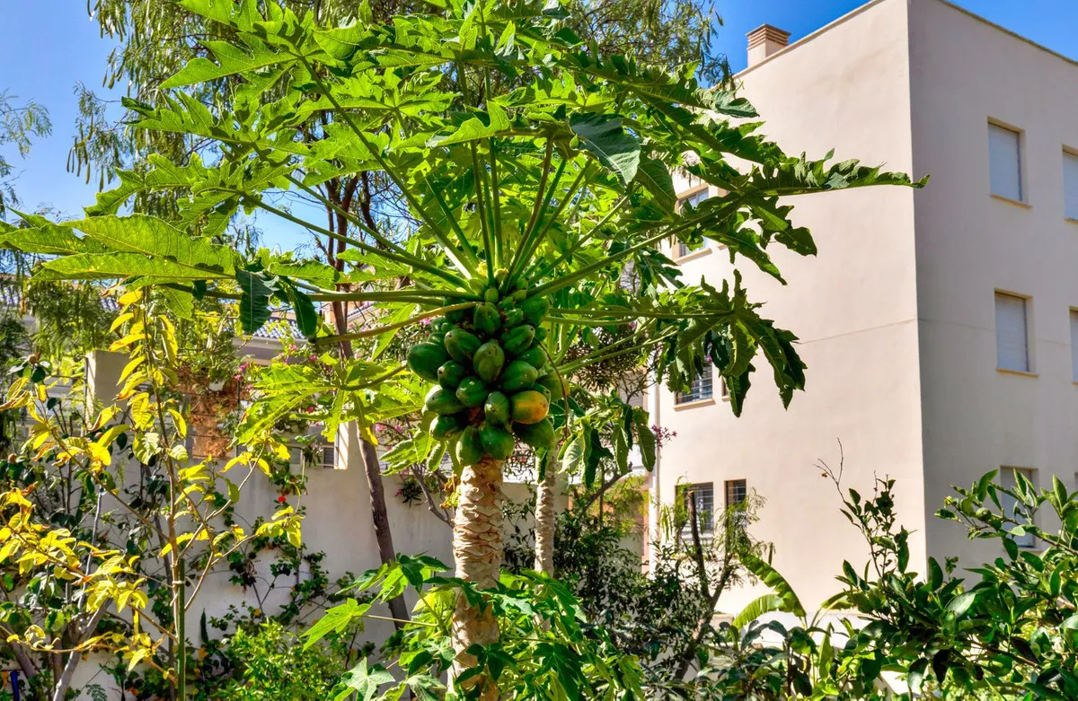 983f8299-b8e8-4a94-ad93-d40bd9e10fad