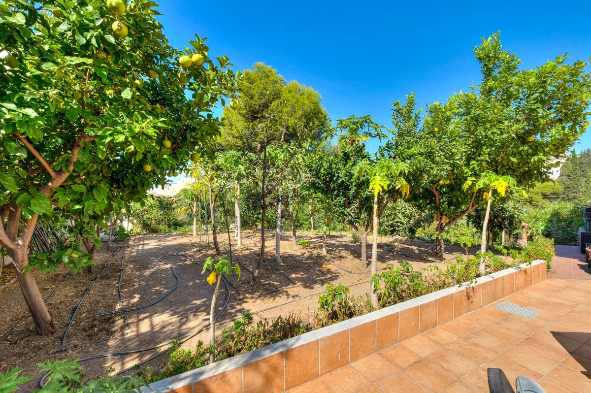 a87e907a-0869-47a6-9e29-199b02043c1f