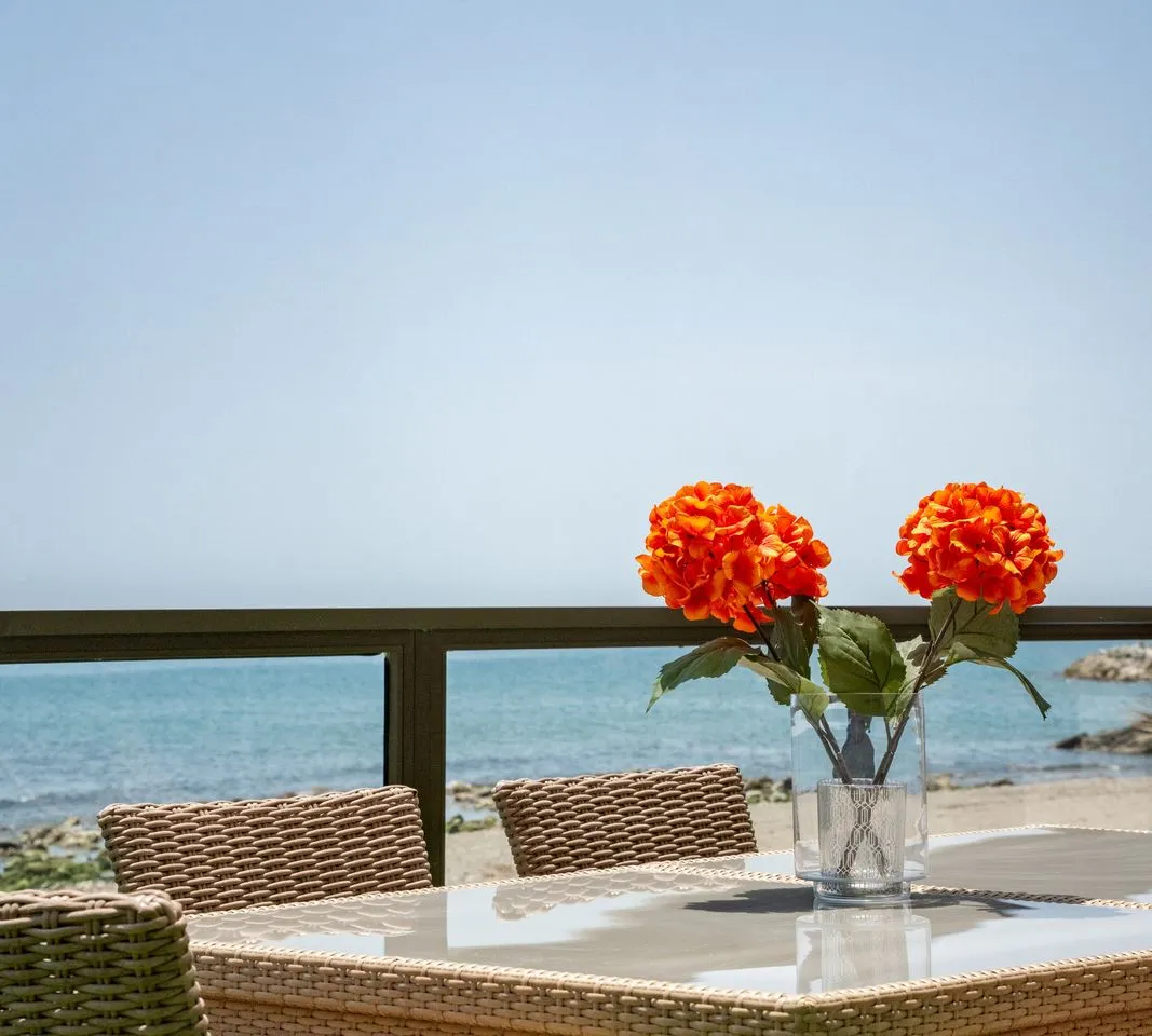 8ba0f7bd-411a-4786-baf9-0ce4aa065bb8